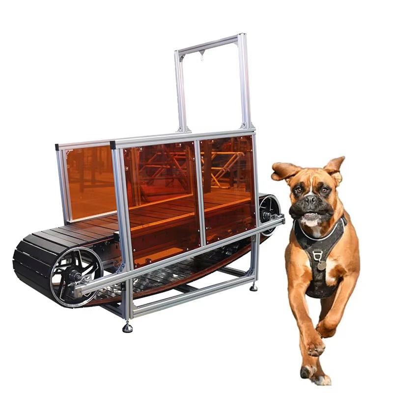 Large Non-Powered Pet Treadmil - đánh giá và giá Treadmill Home Gym
