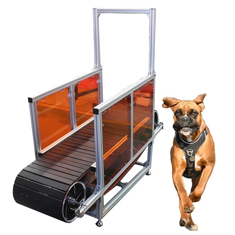 Large Non-Powered Pet Treadmil - đánh giá và giá Treadmill Home Gym