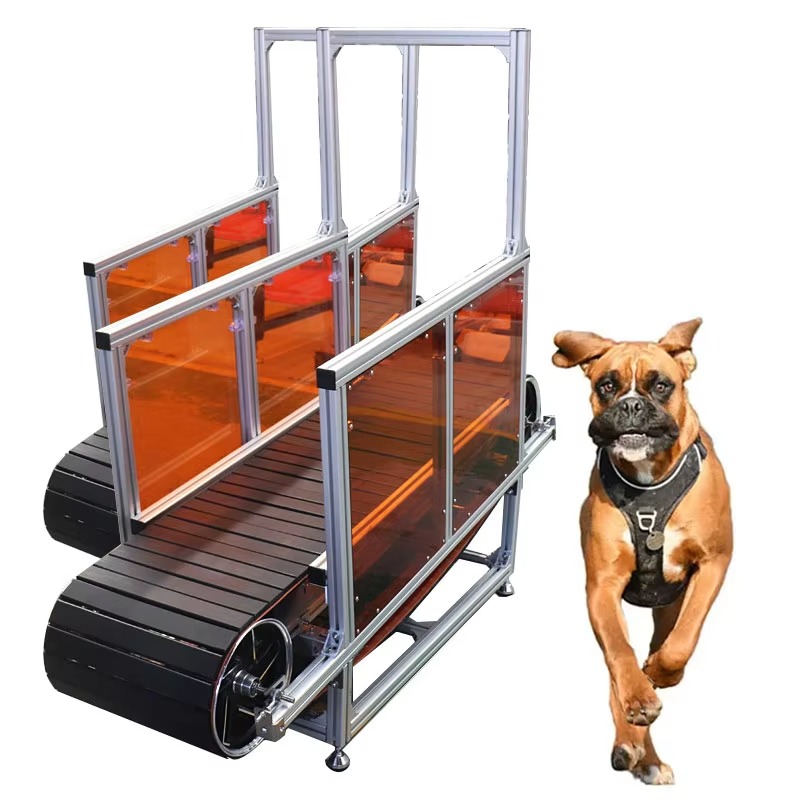 Large Non-Powered Pet Treadmil - đánh giá và giá Treadmill Home Gym