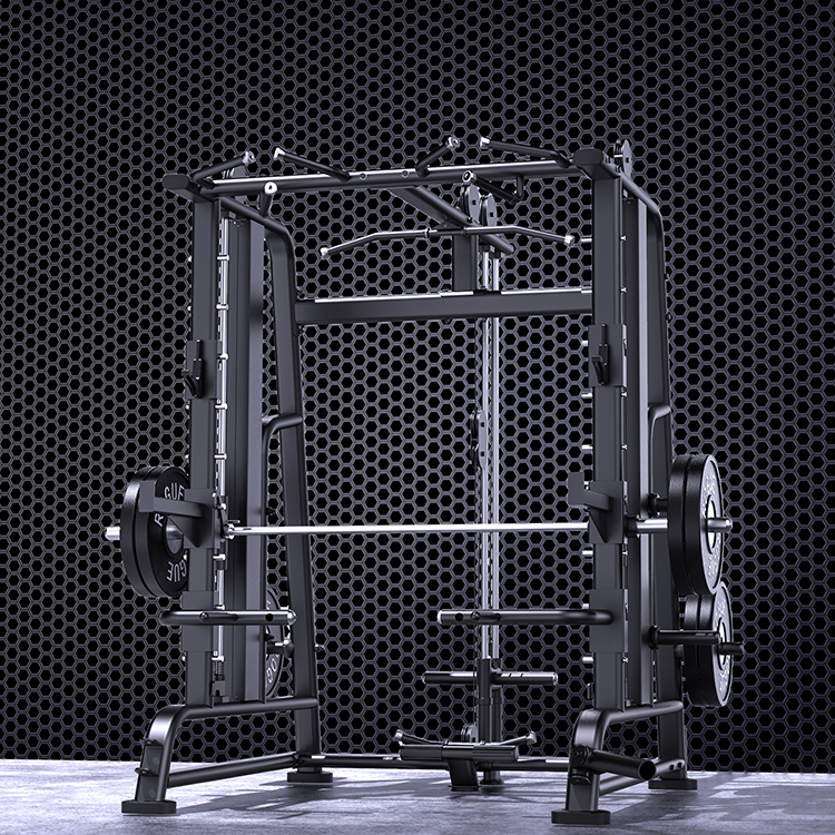 Power Rack Home Gym Fitness Eq - đánh giá và giá Home Gym With Smith Machine