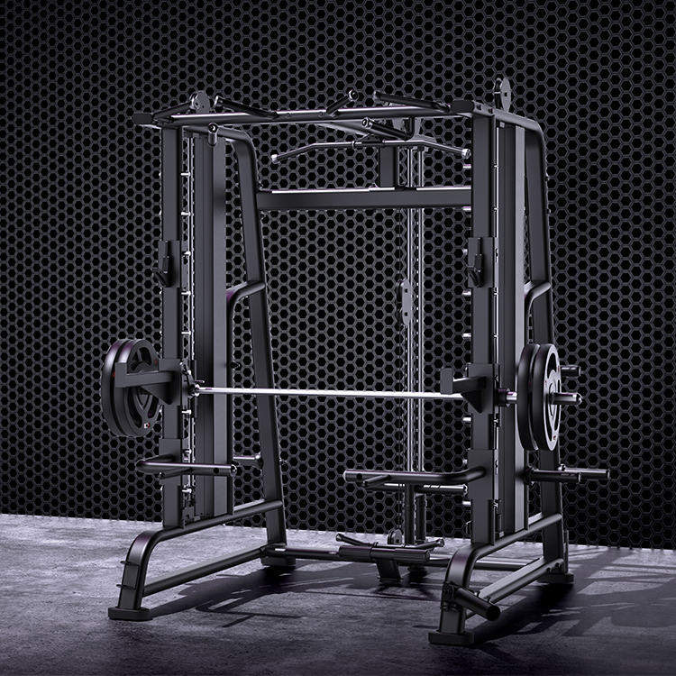 Power Rack Home Gym Fitness Eq - đánh giá và giá Home Gym With Smith Machine