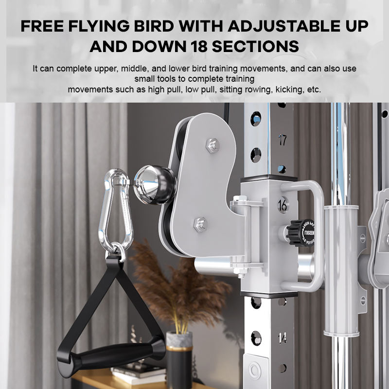 YTYIN Factory Supplier Home Gy - đánh giá và giá Home Gym With Smith Machine
