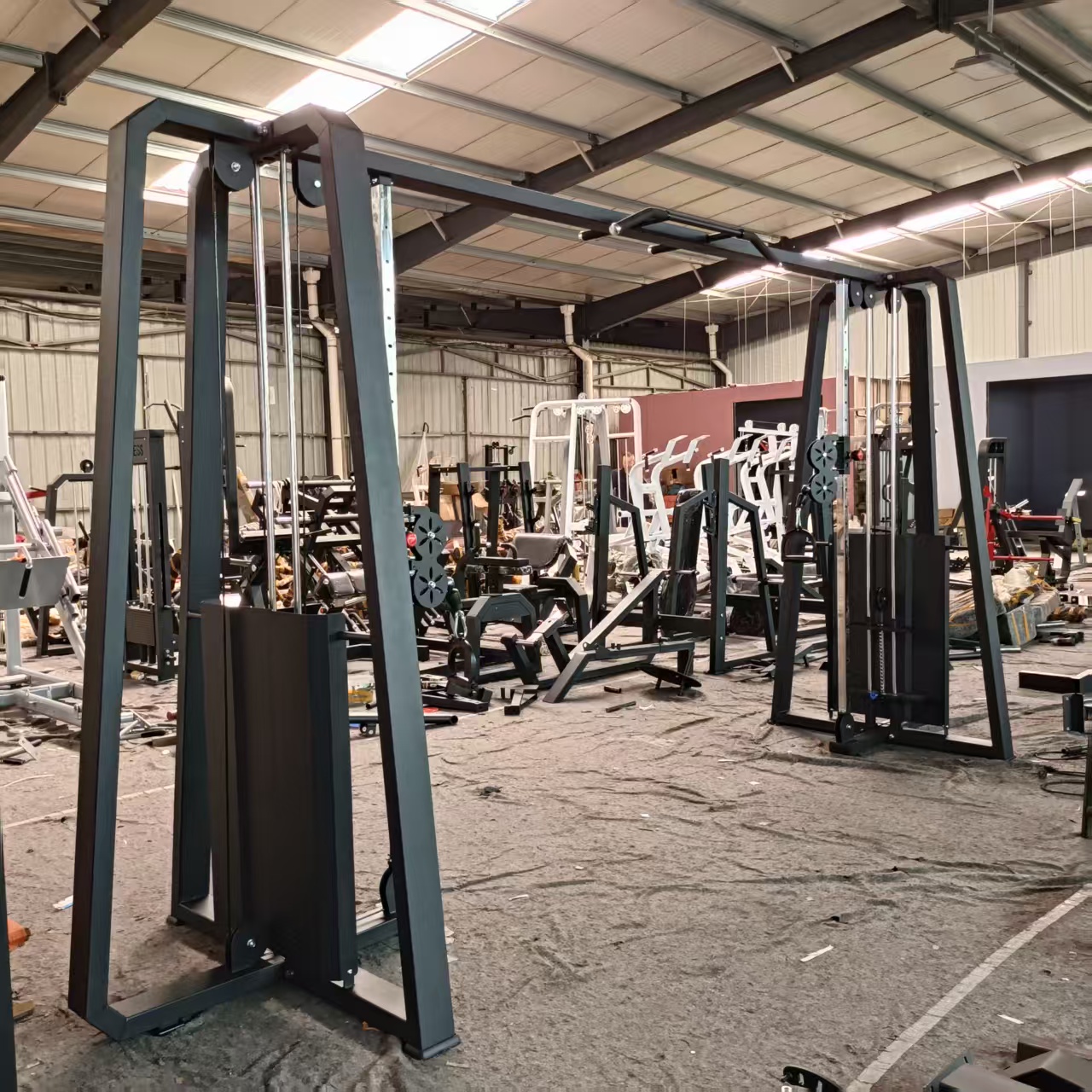 High-quality Commercial Cable  - đánh giá và giá Home Gym With Smith Machine